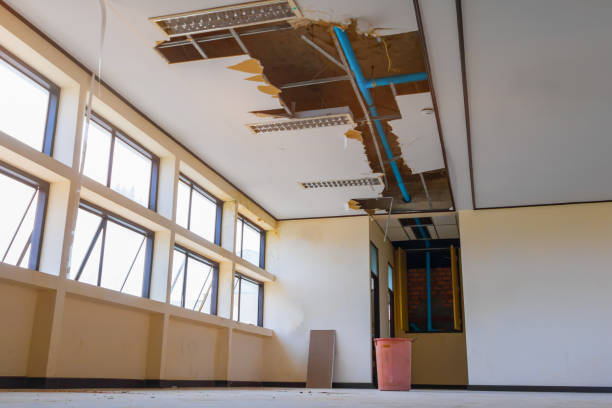 Best 24-hour water damage restoration  in Fort Loramie, OH