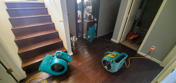 Best Sewage cleanup and water damage restoration  in Fort Loramie, OH