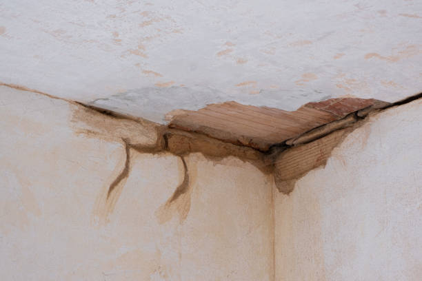 Best Water damage repair service  in Fort Loramie, OH