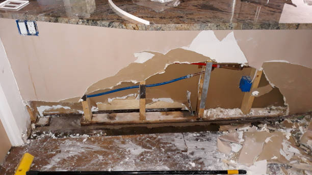 Best Flood damage cleanup  in Fort Loramie, OH