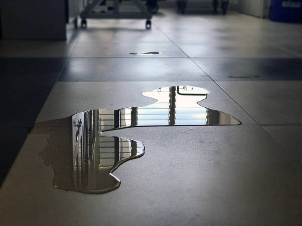 Best Water damage restoration near me  in Fort Loramie, OH