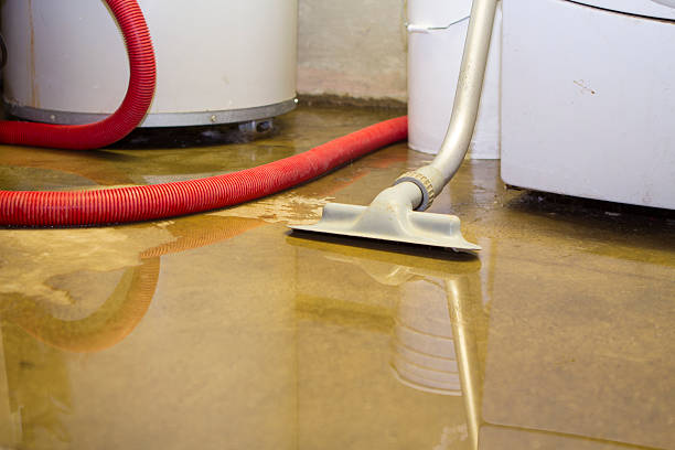 Best Fire Damage Restoration  in Fort Loramie, OH
