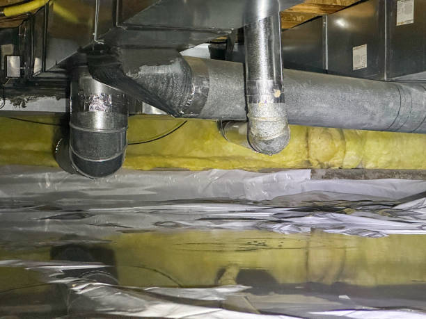 Best Local water damage restoration  in Fort Loramie, OH