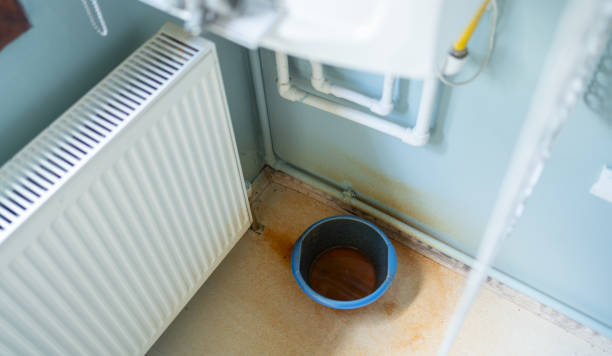 Best Carpet water damage restoration  in Fort Loramie, OH