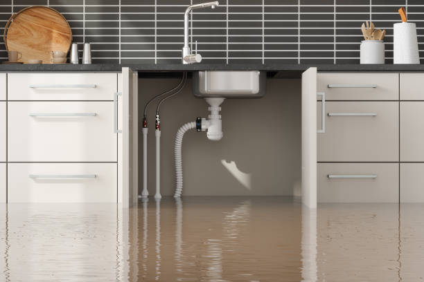 Best Flood restoration services  in Fort Loramie, OH