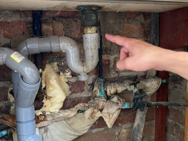 Best Carpet water damage restoration  in Fort Loramie, OH